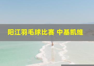 阳江羽毛球比赛 中基凯维